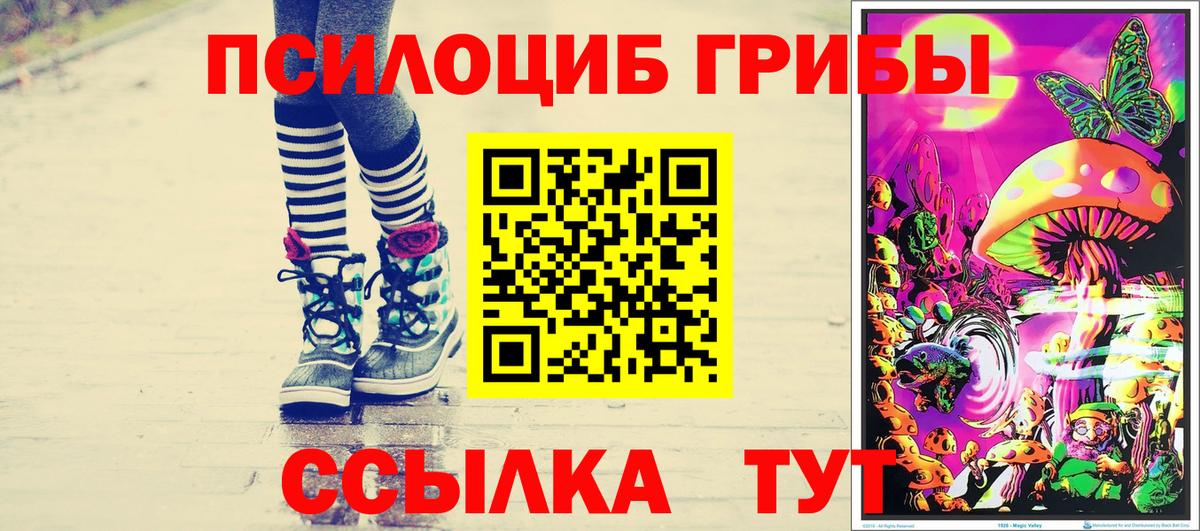 Псилоцибиновые грибы MAGIC MUSHROOMS Казань