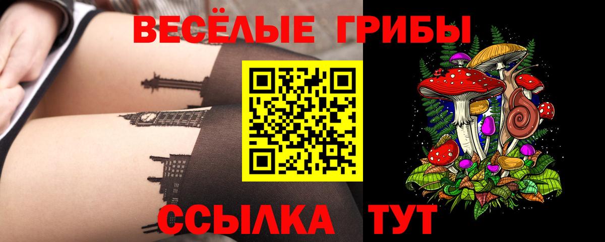Казань  Псилоцибиновые грибы Psilocybe  Вход с VPN 